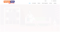 Desktop Screenshot of pashupatipaints.com